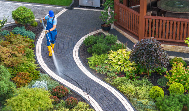 Best Power Washing Near Me  in Wainaku, HI